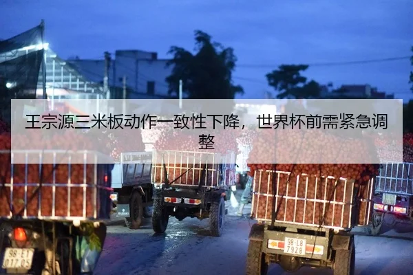 王宗源三米板动作一致性下降，世界杯前需紧急调整